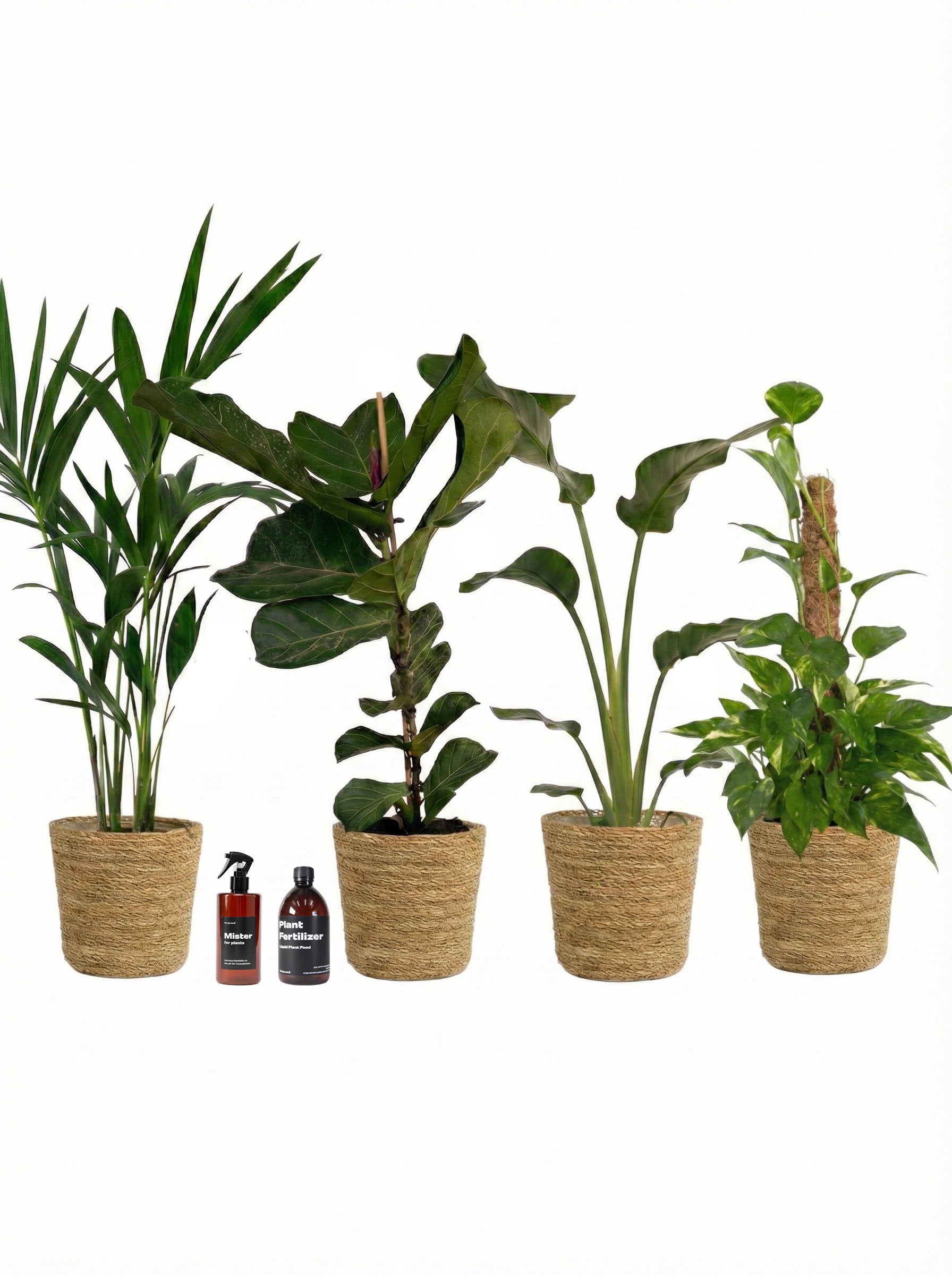 מארז התחלה חדשה