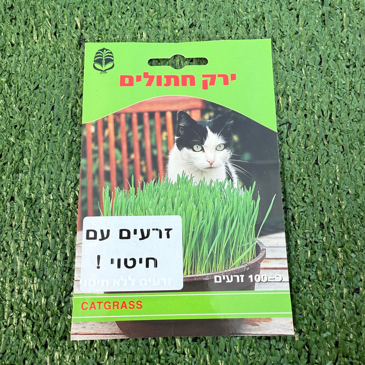 חפיסת זרעי ירק חתולים ברקע דשא סינטטי ירוק