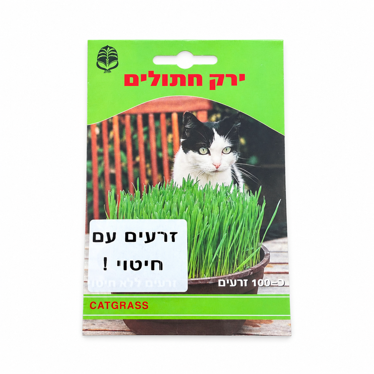זרעים של ירק חתולים