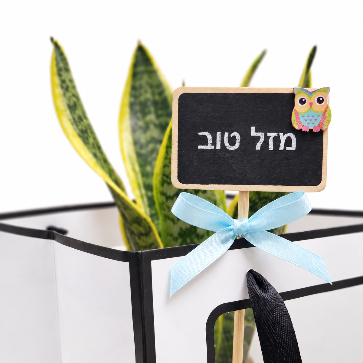 סנסבריה במארז מתנה מזל טוב - תקריב שלט וברכה