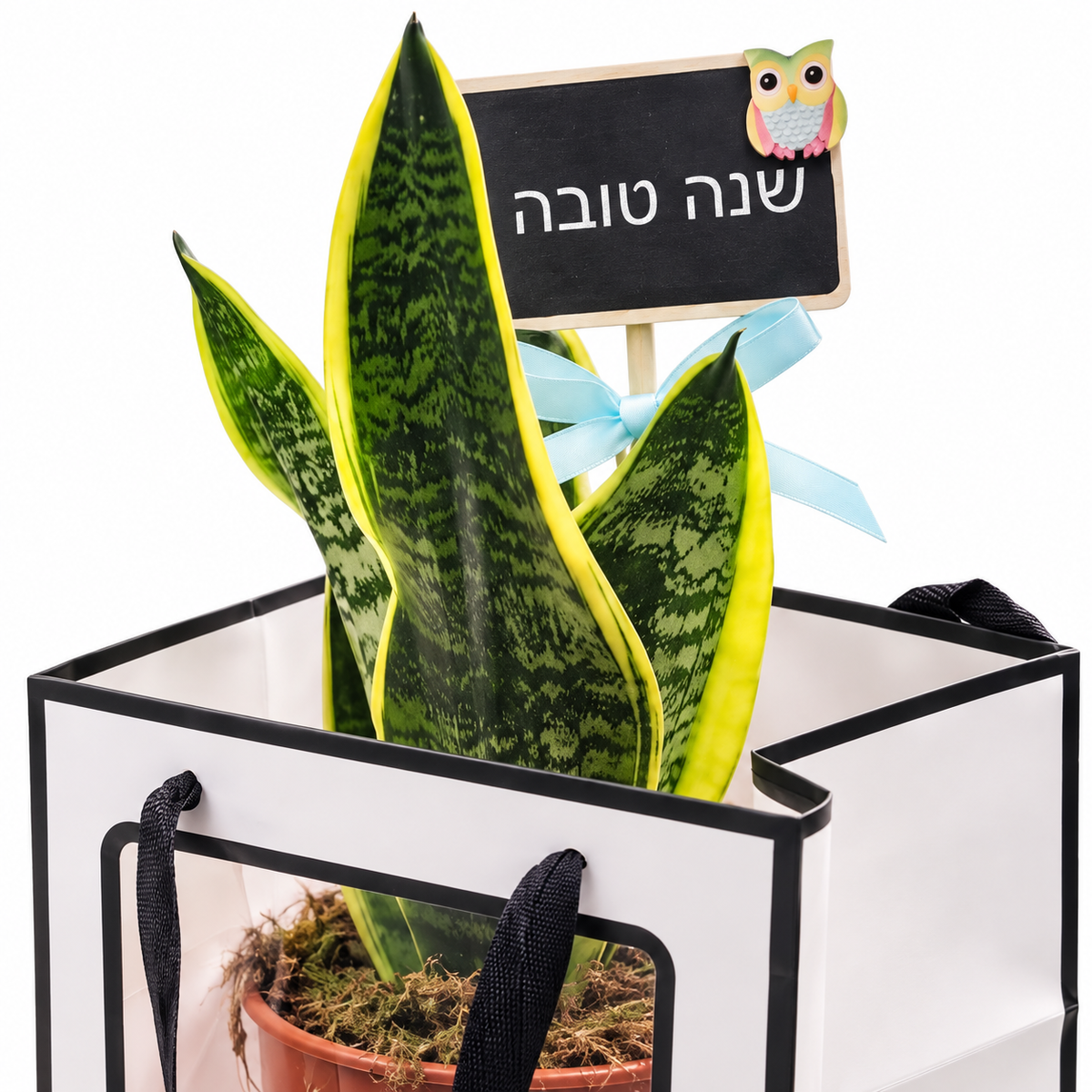 סנסבריה במארז מתנה שנה טובה - תקריב שלט וברכה