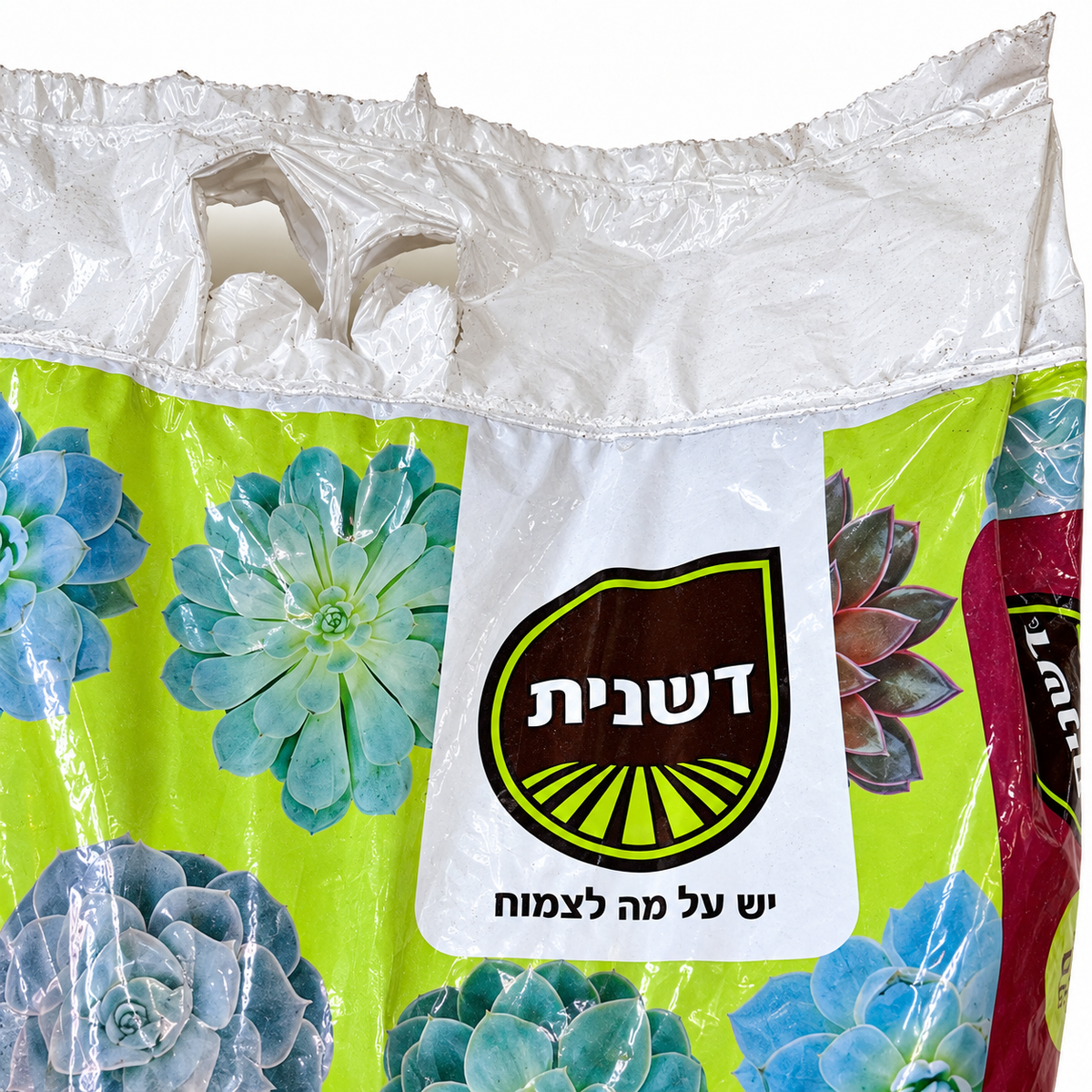 תערובת שתילה לסוקולנטים — תקריב המוצר
