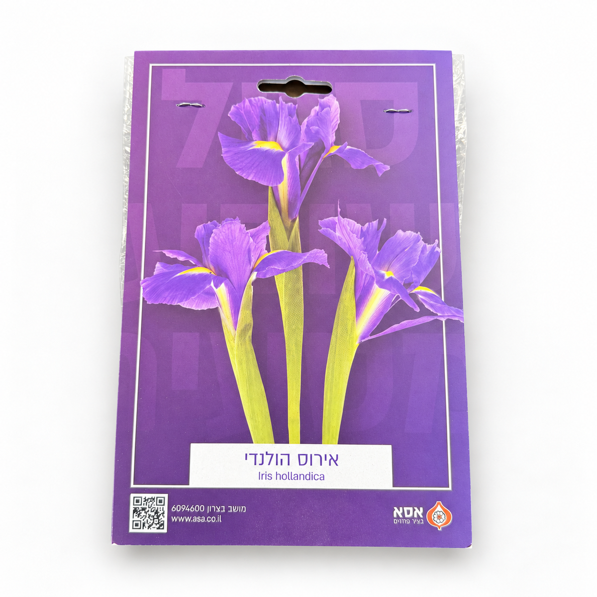 אירוס הולנדי תערובת לשתילה – 10 בצלים — חזית המארז על רקע לבן