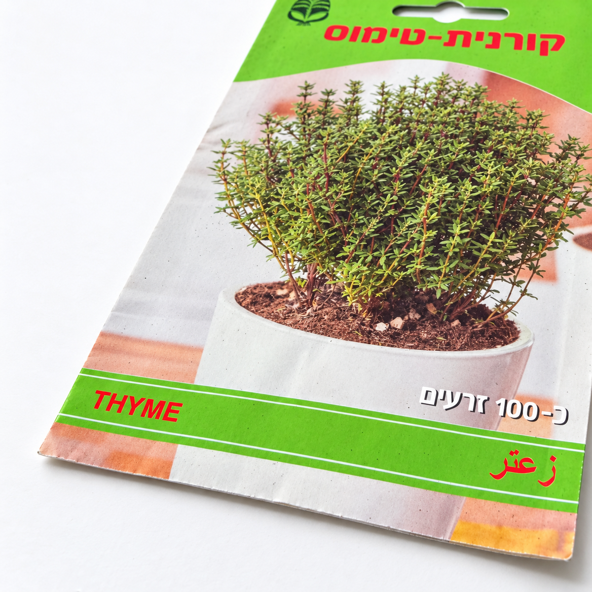 זרעי טימין – תקריב על רקע לבן