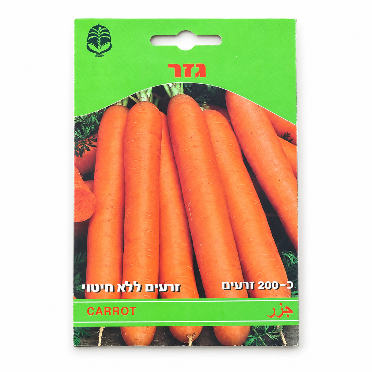 זרעים של גזר – סטודיו על רקע לבן