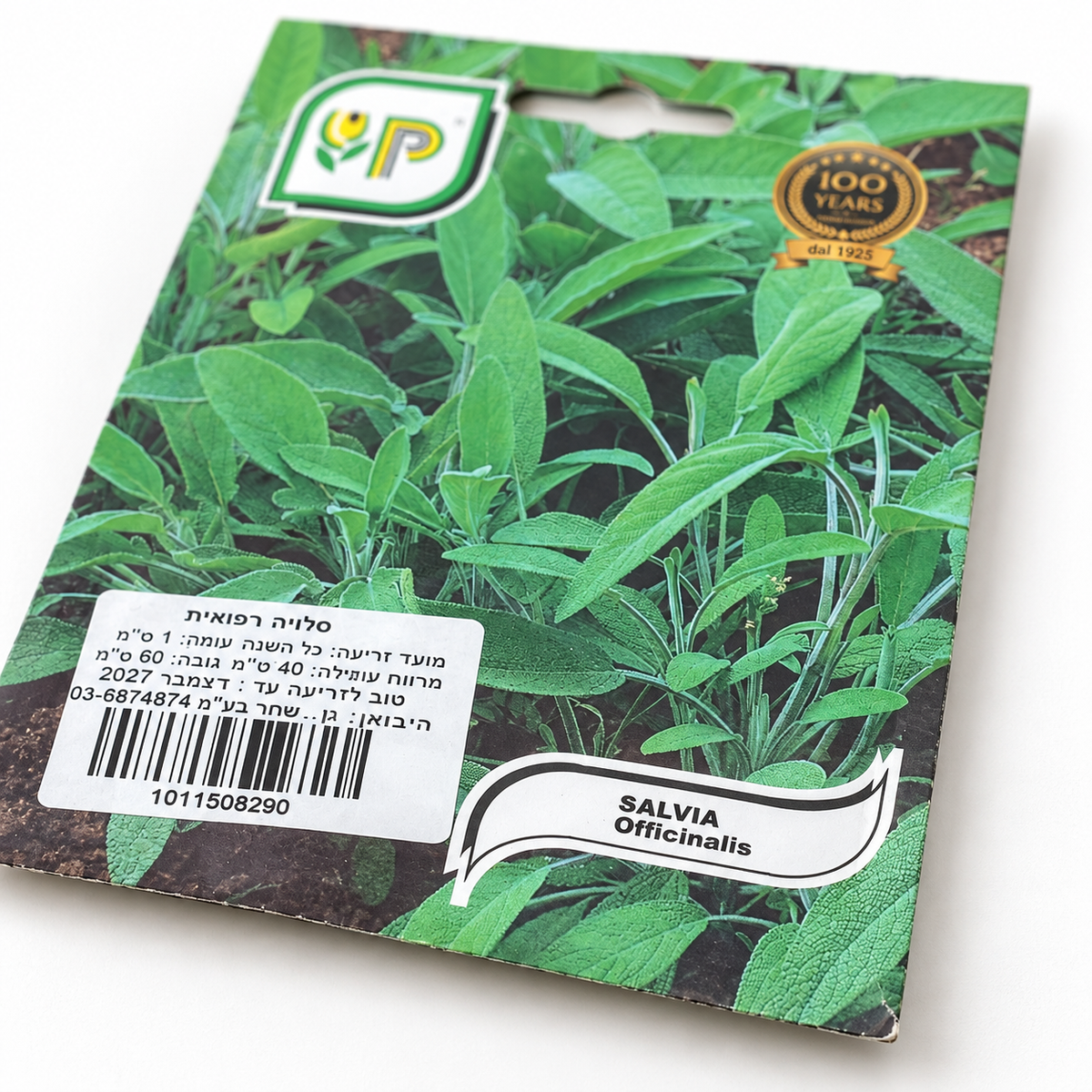 זרעים של מרווה רפואית – תקריב על רקע לבן