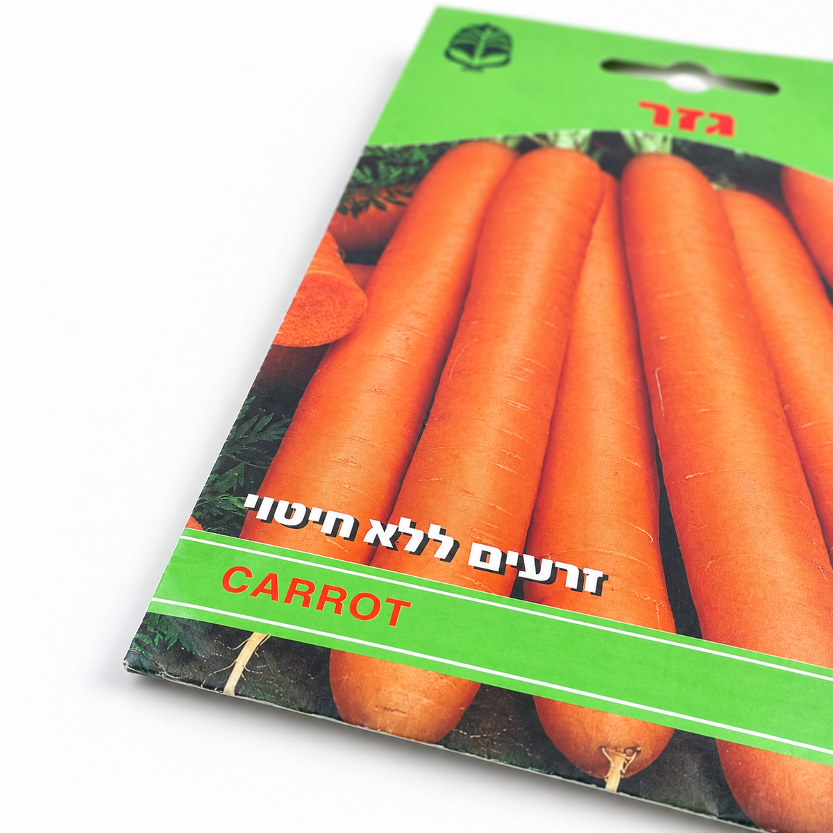 זרעים של גזר – תקריב על רקע לבן