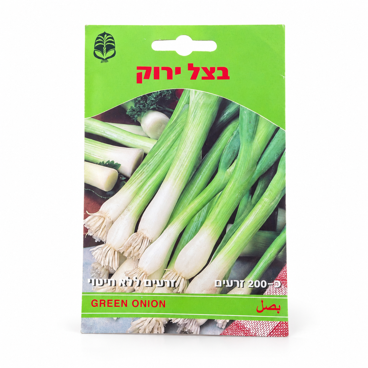 זרעים של בצל ירוק – סטודיו על רקע לבן
