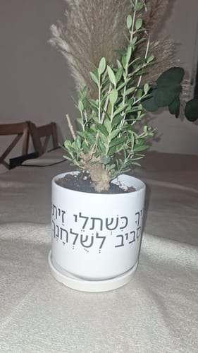 תמונה 1 מתוך 1 שצורפה לביקורת של אורית ר.
