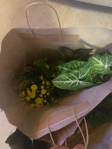תמונה 1 מתוך 1 שצורפה לביקורת של ספיר א.