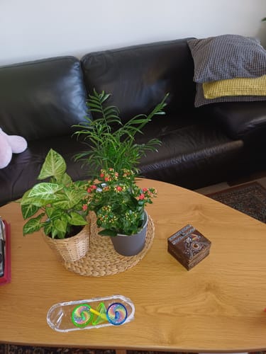 תמונה 1 מתוך 1 שצורפה לביקורת של מאשה ת.