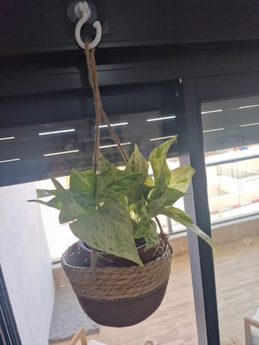 תמונה 1 מתוך 1 שצורפה לביקורת של נויה ל.