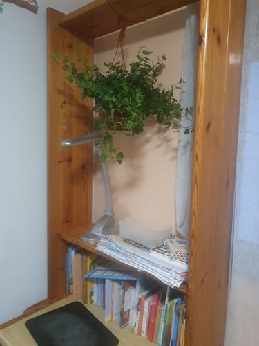 תמונה 1 מתוך 1 שצורפה לביקורת של יוליה ג.