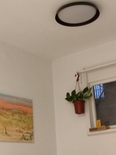 תמונה 1 מתוך 1 שצורפה לביקורת של אסף מ.