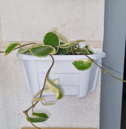 תמונה 1 מתוך 1 שצורפה לביקורת של נתן ב.