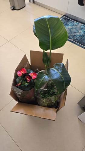 תמונה 1 מתוך 1 שצורפה לביקורת של דניאל צ.