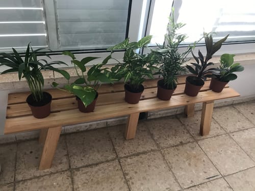 תמונה 1 מתוך 1 שצורפה לביקורת של Inbal s.