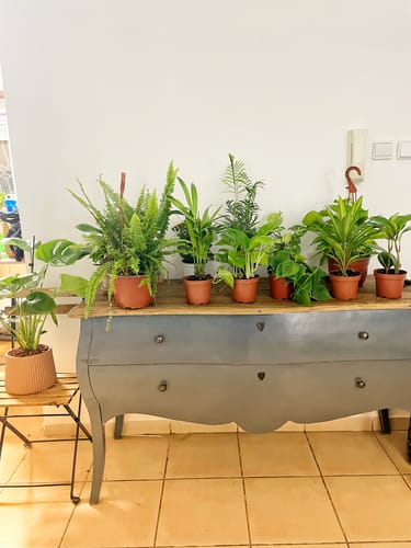 תמונה 1 מתוך 1 שצורפה לביקורת של שיר ק.