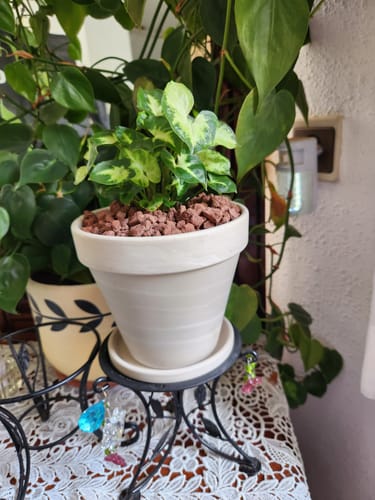 תמונה 1 מתוך 1 שצורפה לביקורת של אביבה ס.