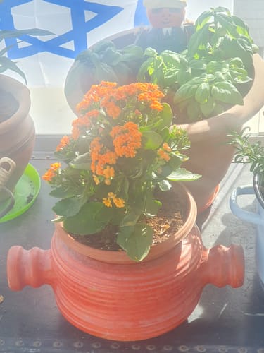 תמונה 1 מתוך 5 שצורפה לביקורת של נועה ג.