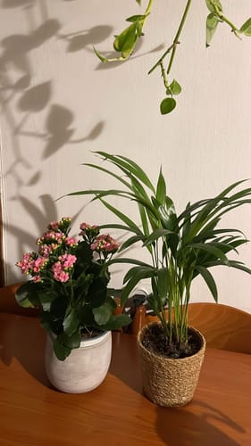 תמונה 1 מתוך 1 שצורפה לביקורת של נועם ר.