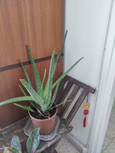 תמונה 1 מתוך 1 שצורפה לביקורת של מרטין ק.