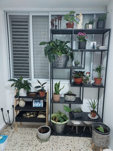 תמונה 1 מתוך 1 שצורפה לביקורת של מיכל ק.