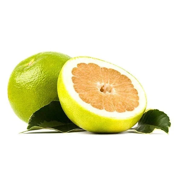 עץ פומלית קוטר שק 30 ס"מ (25 ליטר) (רב שנתי לגינה) 1 על 1