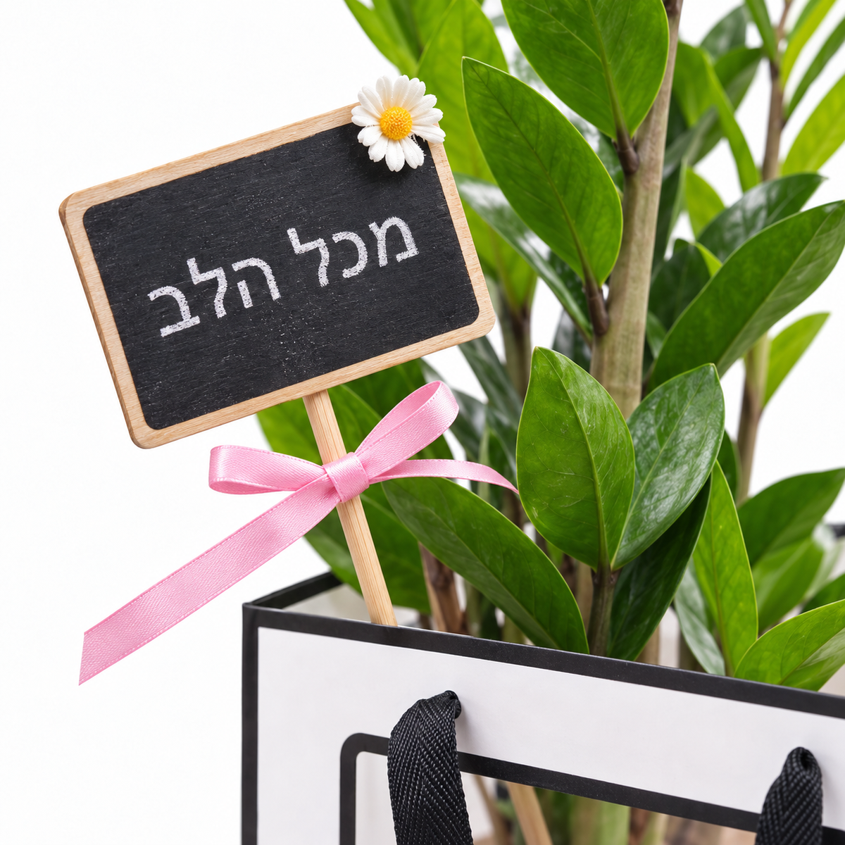 זמיה קוקוס במארז מתנה, שלט מכל הלב — תקריב של השלט והצמח על רקע לבן