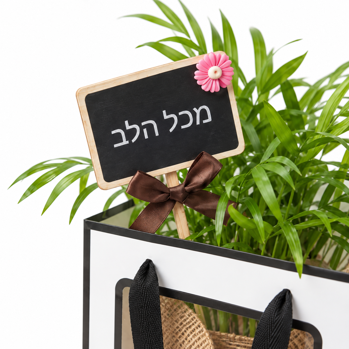 דקל חמדוריאה במארז מתנה, שלט מכל הלב — תקריב של השלט והצמח על רקע לבן