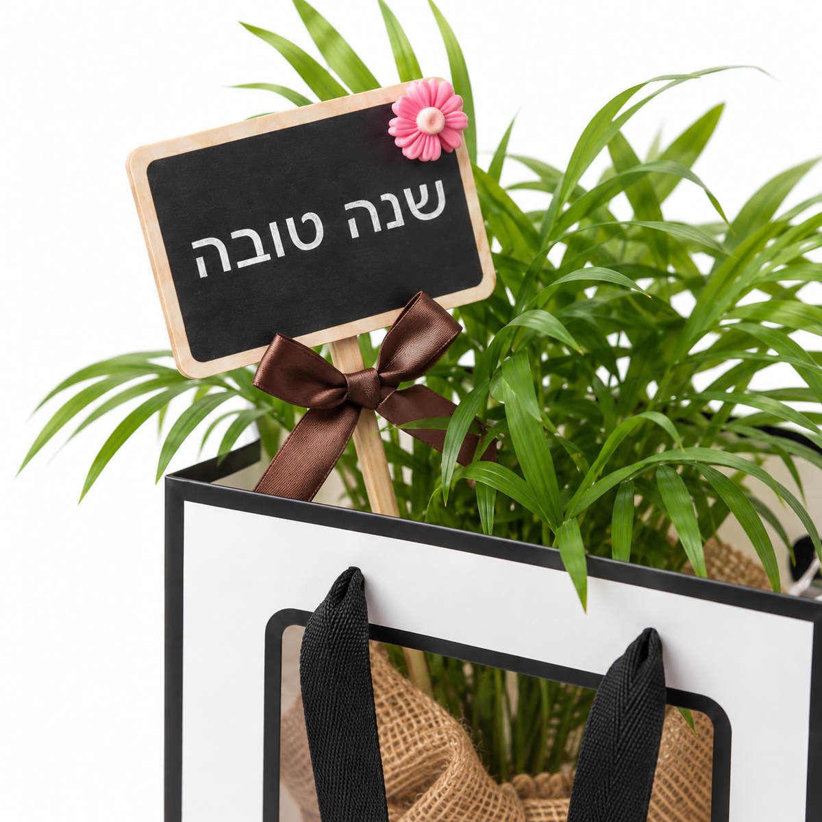 דקל חמדוריאה במארז מתנה, שלט שנה טובה — תקריב של השלט והצמח על רקע לבן