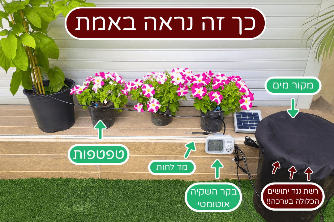 מערכת השקיה סולארית בפעולה עם פאנל, בקר, מקור מים, חיישן לחות וטפטפות לעציצים