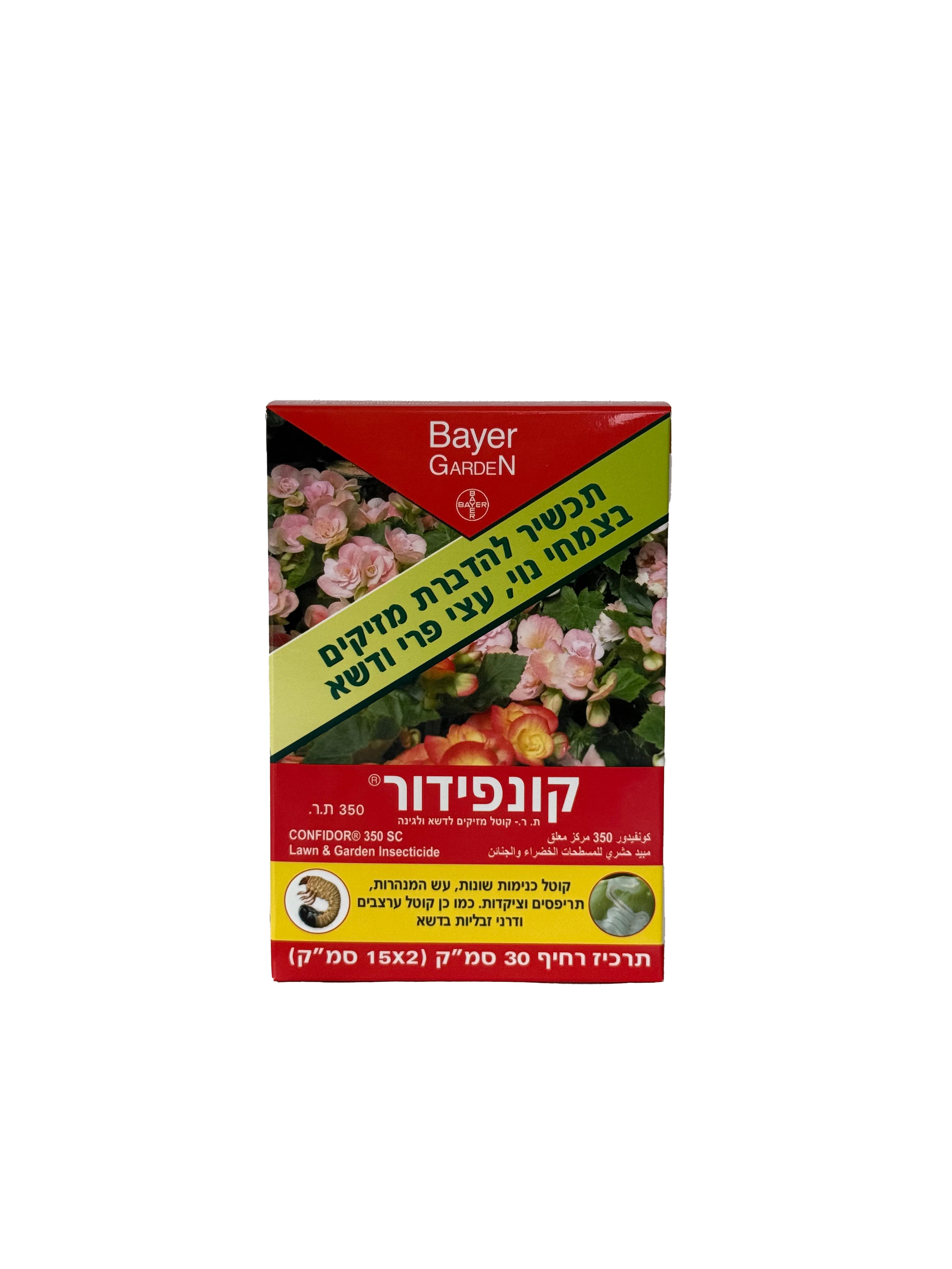 קונפידור