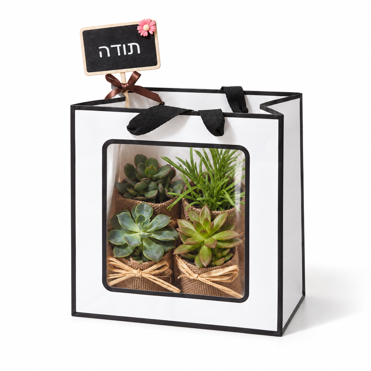 מארז מתנה ארבעה סוקולנטים בשקית לבנה עם שלט תודה על רקע סטודיו לבן