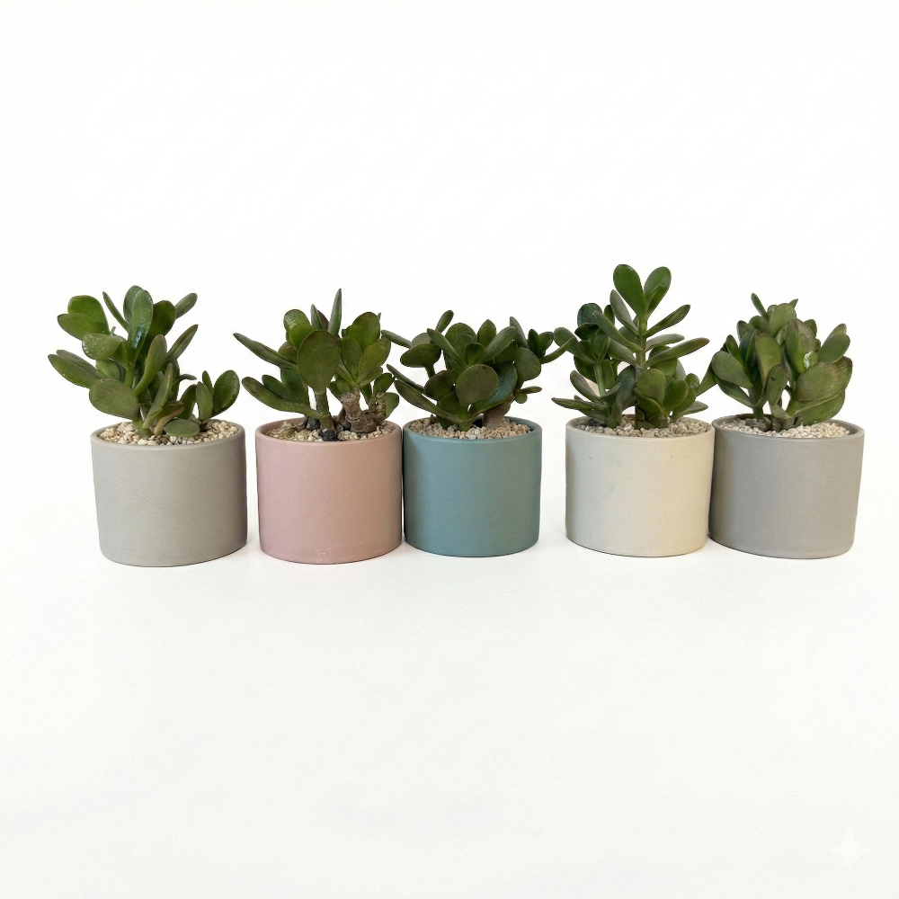 עץ האושר טיפול