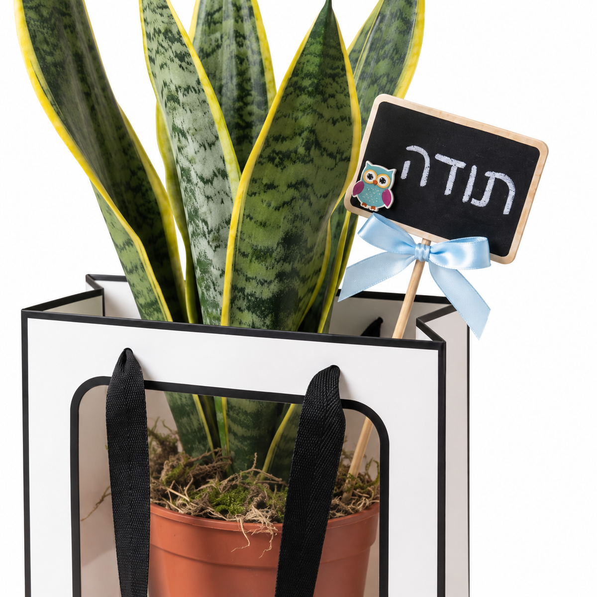 סנסבריה במארז מתנה תודה - תקריב שלט וברכה