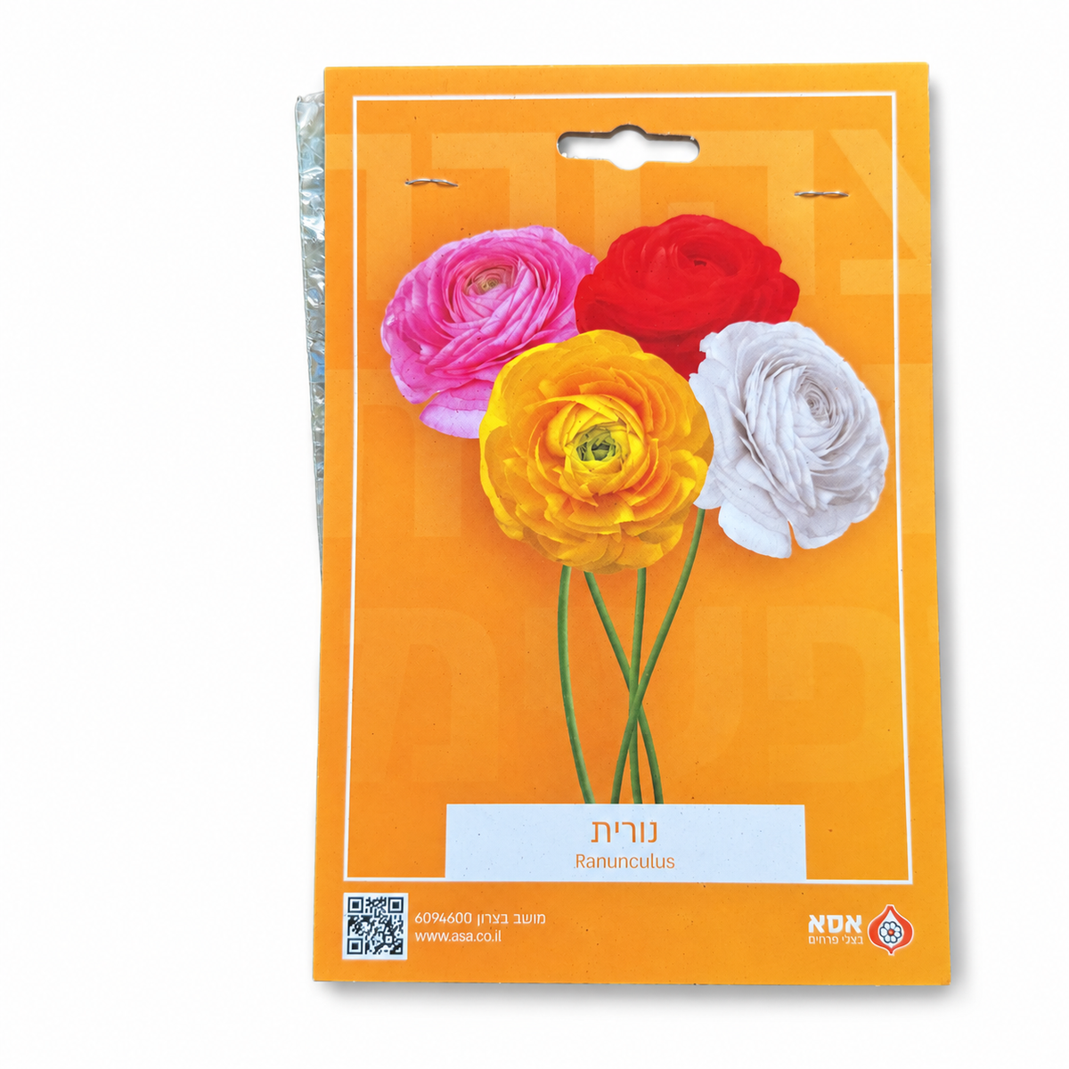 נוריות תערובת לשתילה – 10 פקעות – סטודיו על רקע לבן