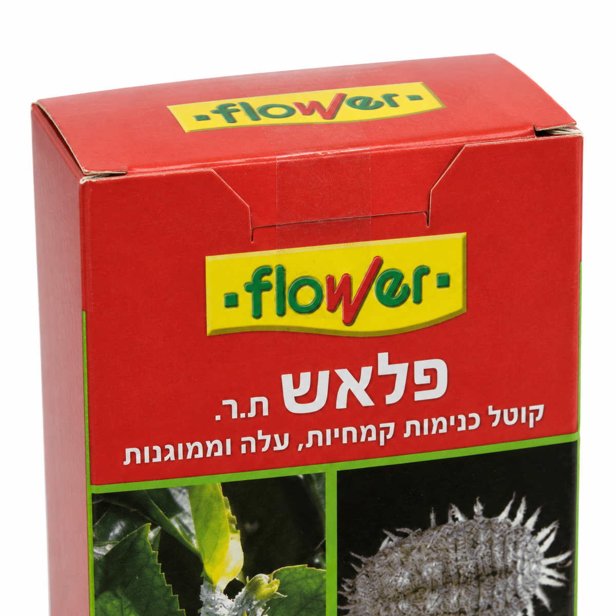 תקריב מוצר על רקע לבן