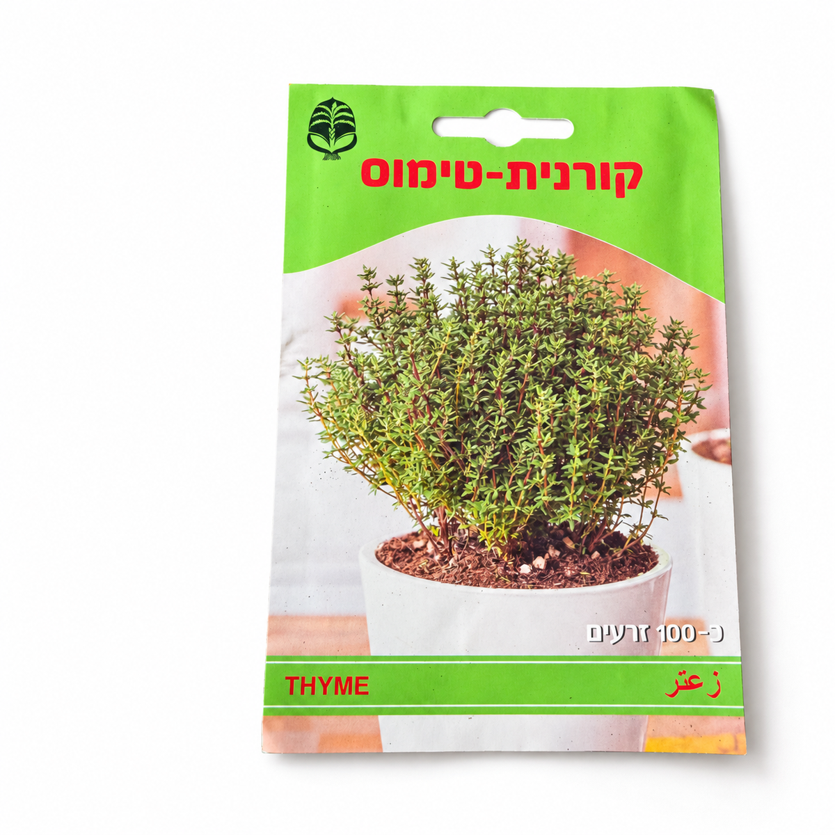 זרעי טימין – סטודיו על רקע לבן