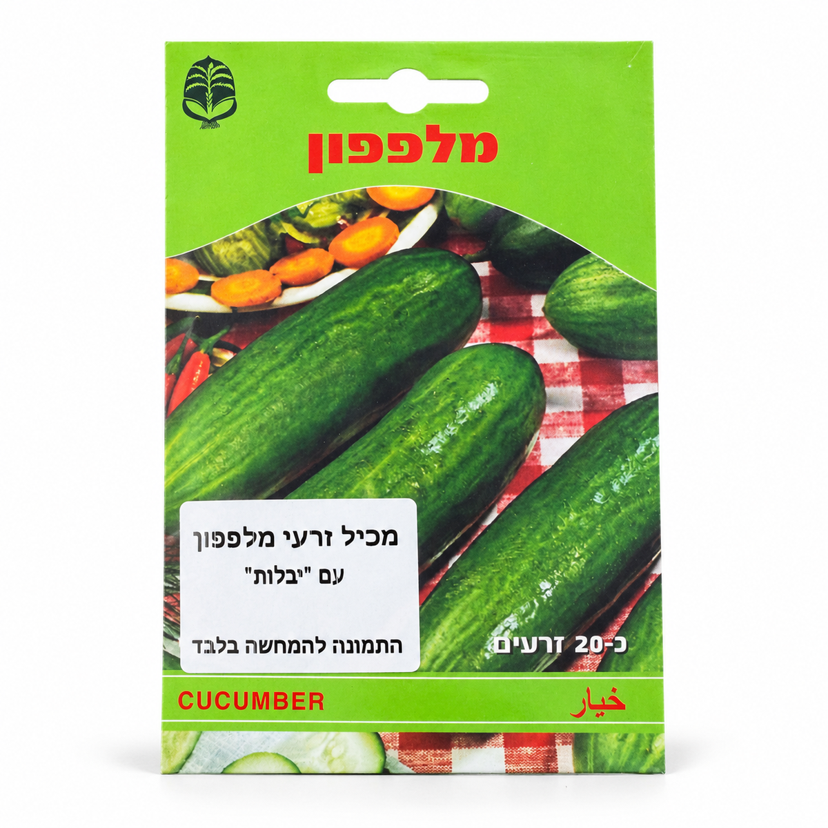 זרעים של מלפפון — צילום סטודיו
