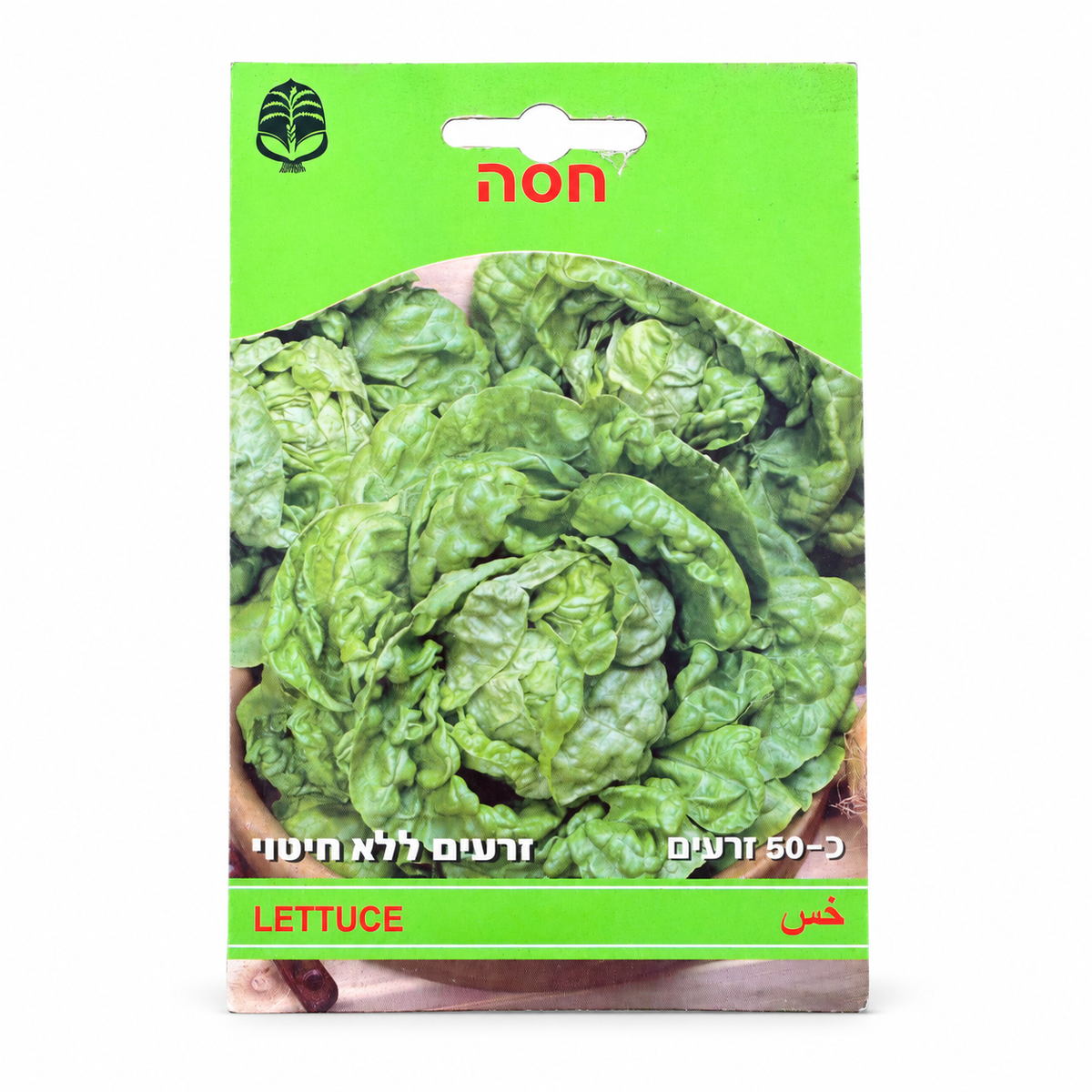 זרעים של חסה — צילום סטודיו