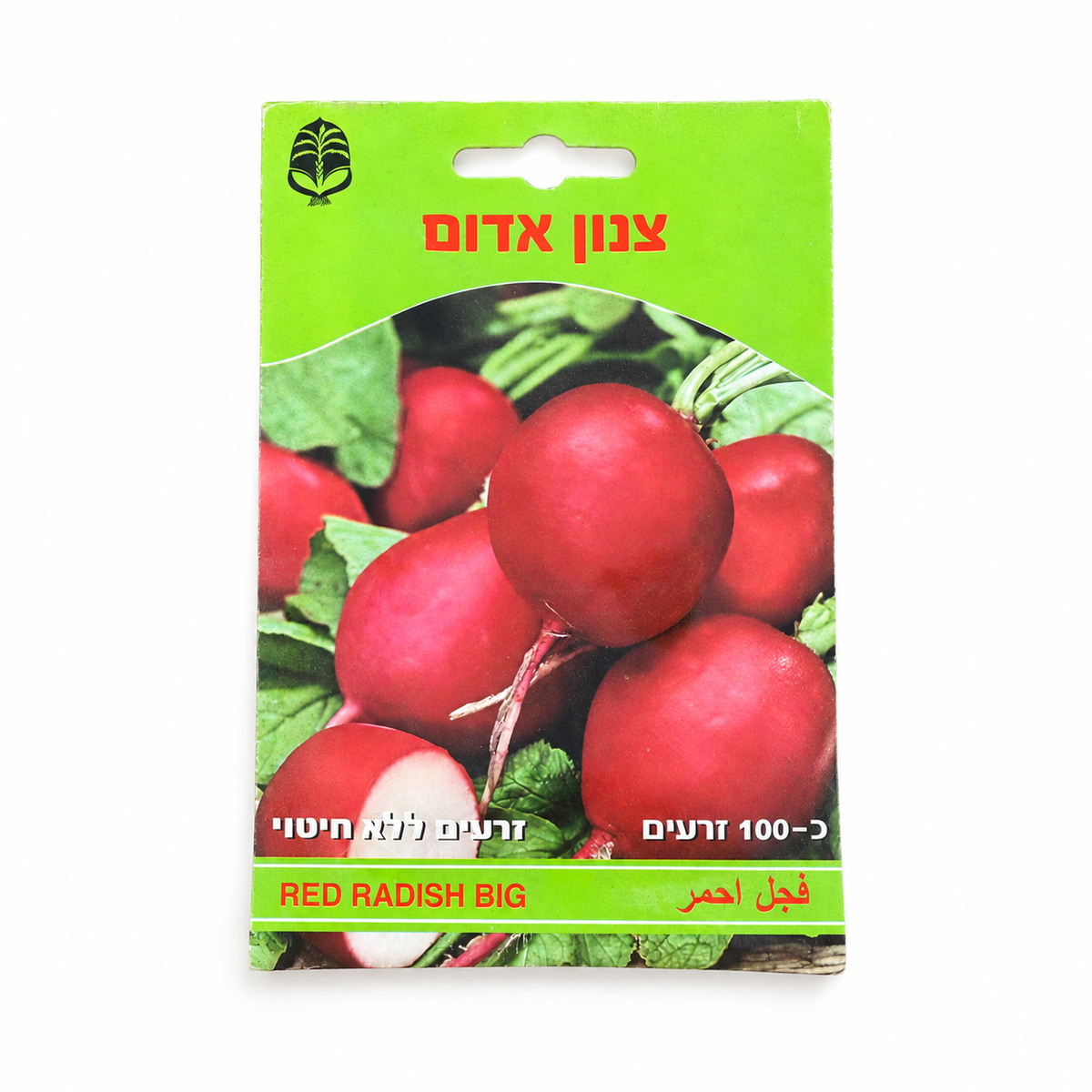 זרעים של צנון אדום – סטודיו על רקע לבן
