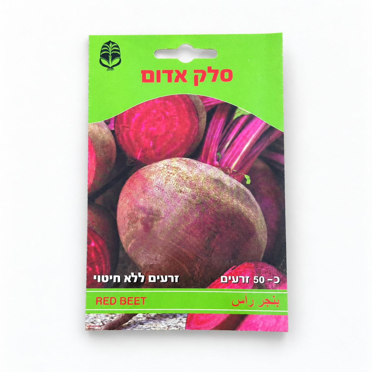 זרעים של סלק אדום – סטודיו על רקע לבן