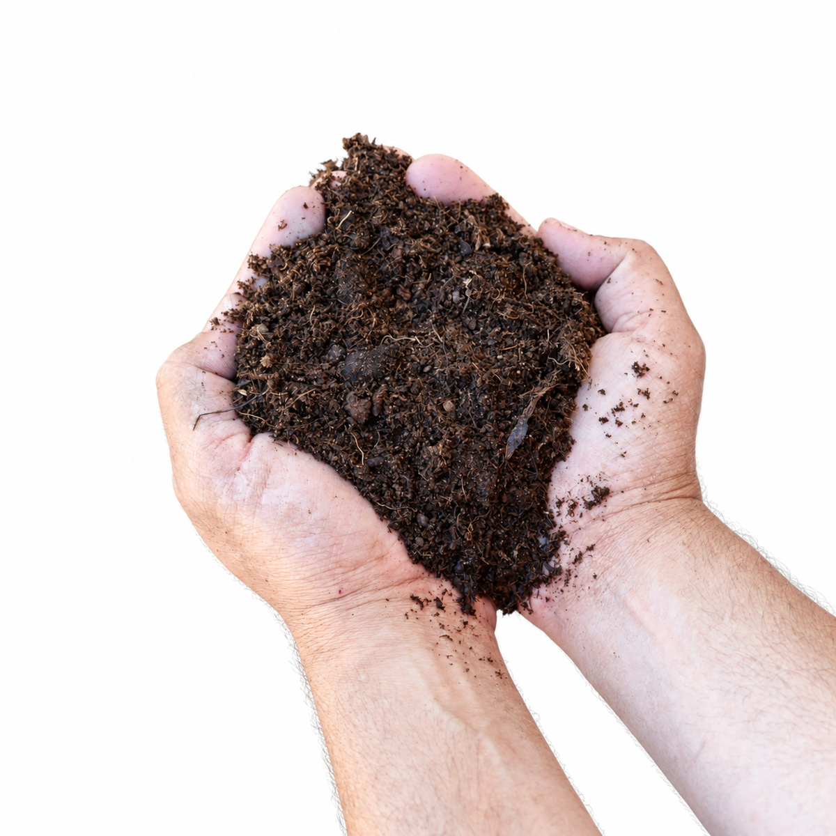 תערובת ORGANIC דשנית בידיים שלמות, במבט קרוב על החומר האמיתי