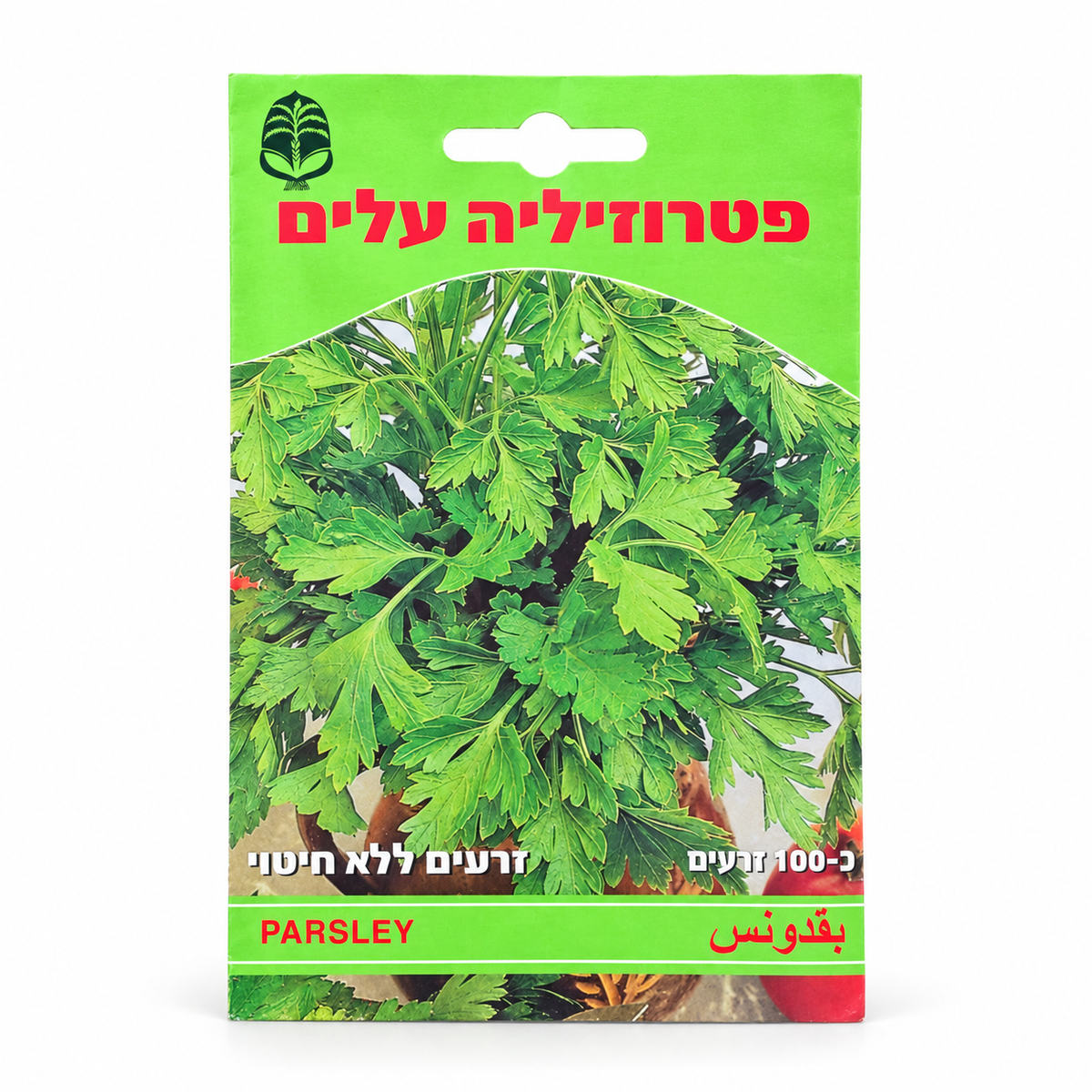 זרעים של פטרוזיליה עלים
