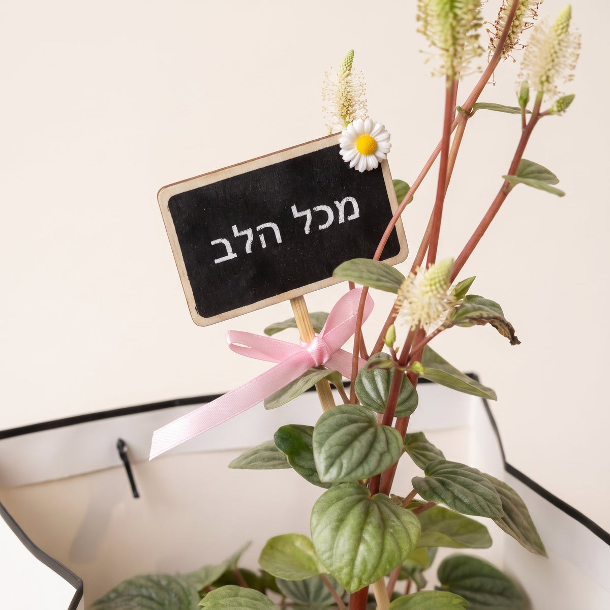 שלט ברכה מעץ עם הכיתוב מכל הלב על מארז פפרומיה