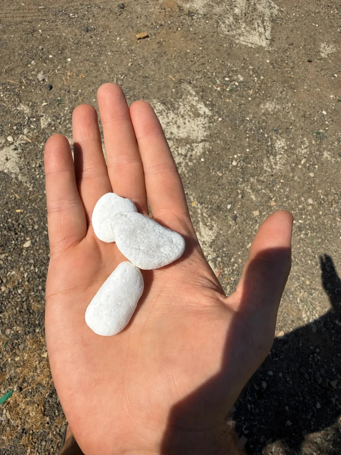 חלוקי נחל לבנים קטנים בגודל 2–3 ס״מ בכף יד להמחשת הגודל