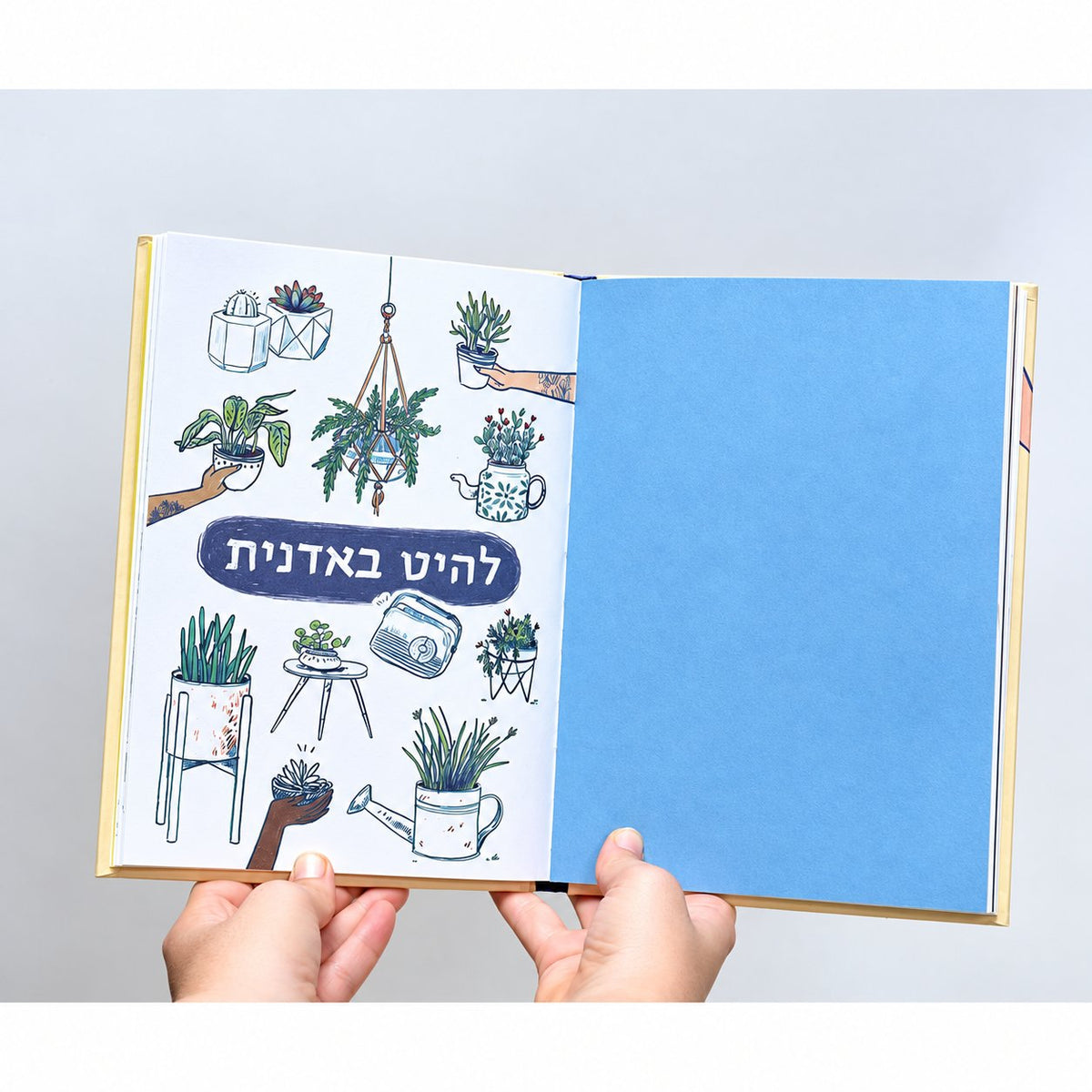 גינה להשכיר | בלה פוטשבוצקי