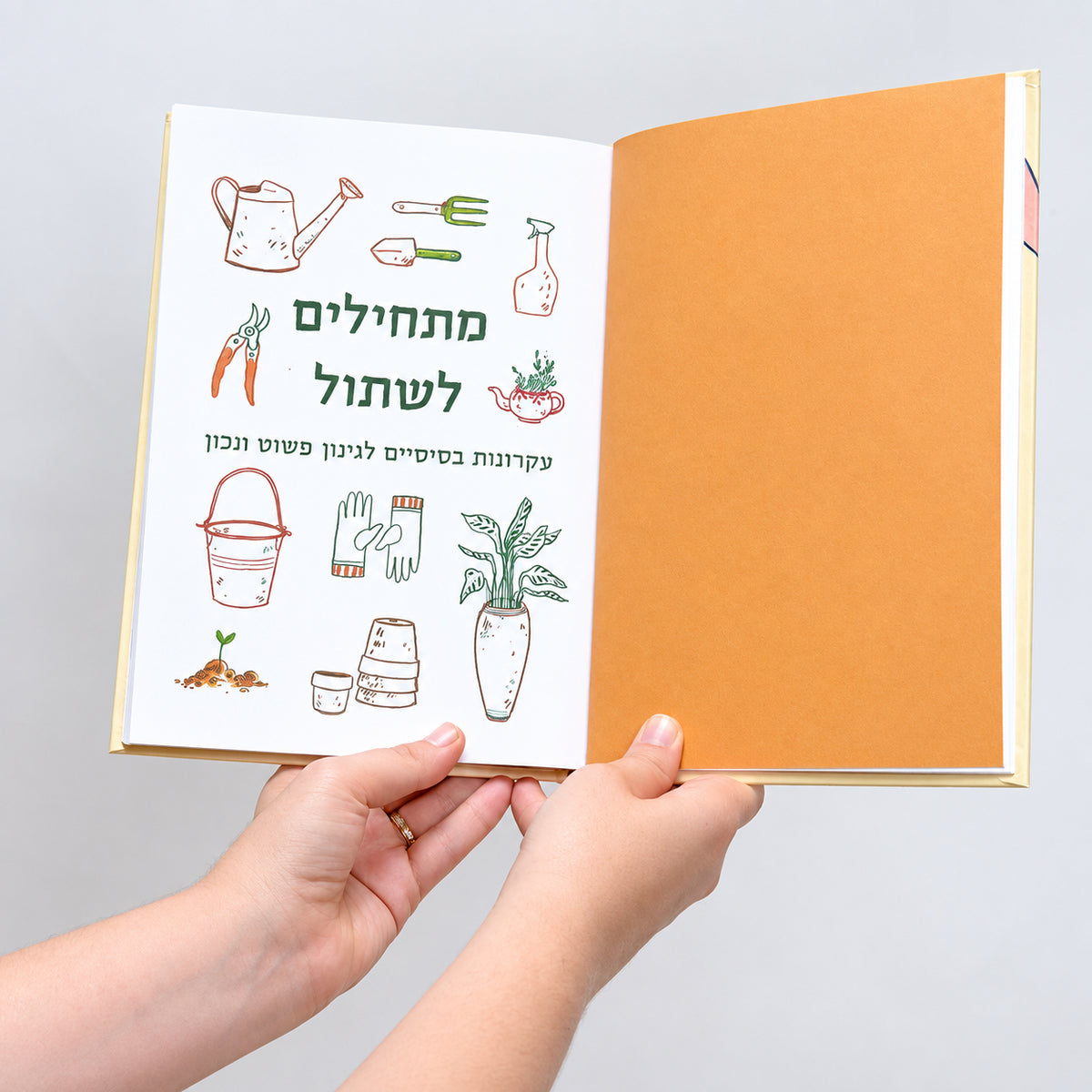 גינה להשכיר | בלה פוטשבוצקי
