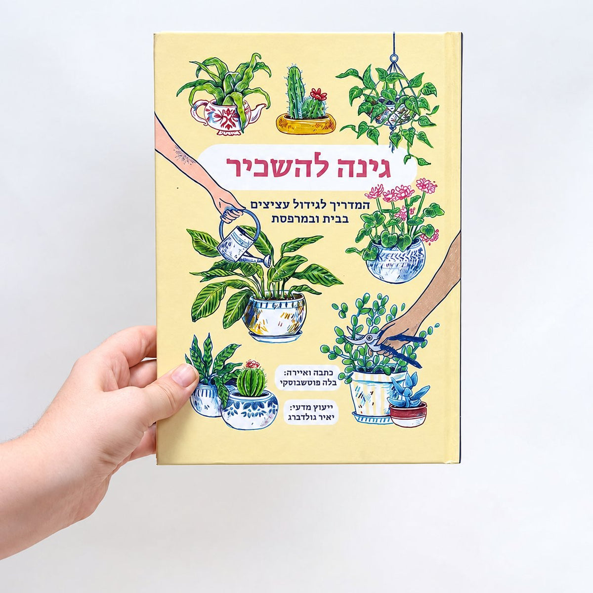 גינה להשכיר | בלה פוטשבוצקי